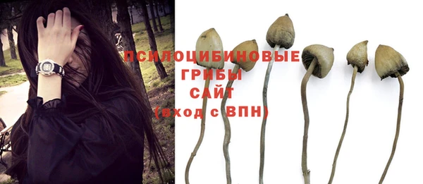 не бодяженный Киренск