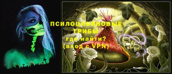 шишки Кинешма